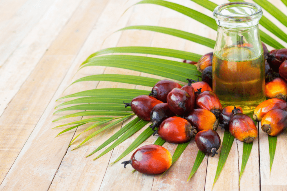 czy olej palmowy jest szkodliwy