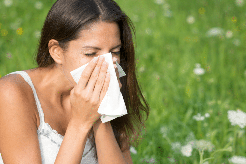 letnie alergie